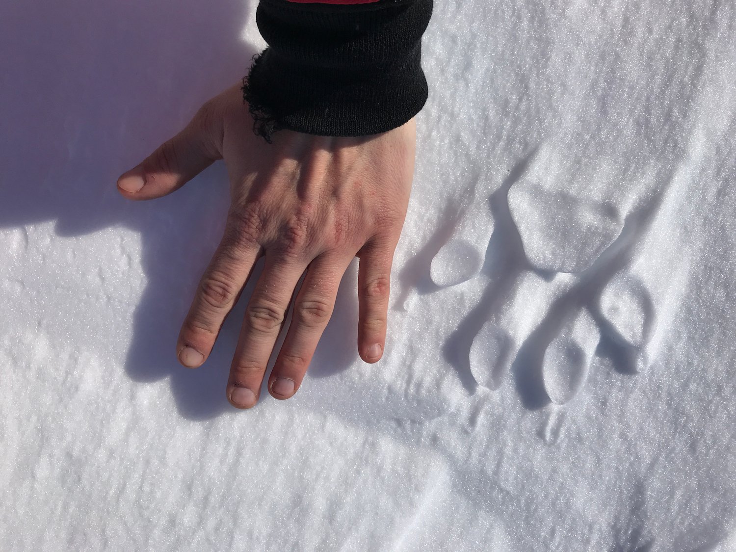 0037Françoise Gervais-2